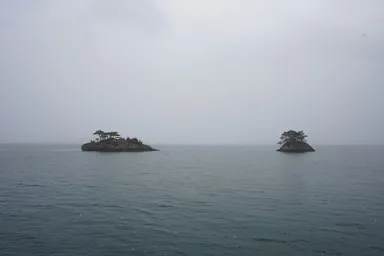 宮城の松島の松の木がはえた島