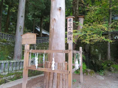 長野の諏訪大社の立てられた御柱