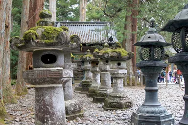 日光東照宮の頭に苔が付いた並ぶ灯篭