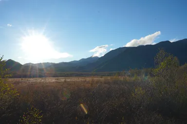 日光の秋の戦場ヶ原の湿原風景