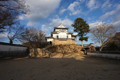 岡山の備中松山城の山上の天守