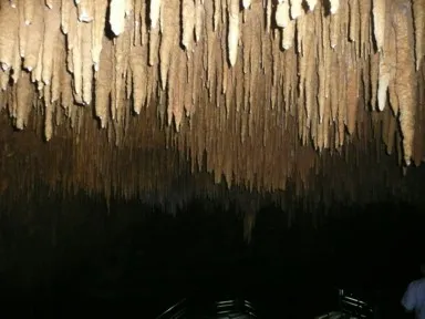 沖縄の玉泉洞の天井から垂れる無数の鍾乳石