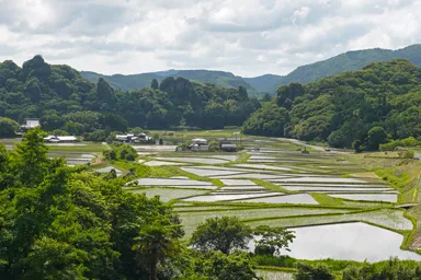 大分の田染の棚田と里山の風景
