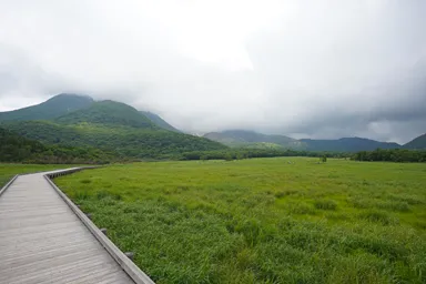 大分の長者原タデ原湿原の木道