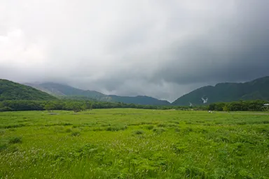 大分の湿原の木道と青空