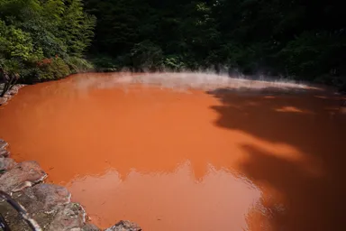 大分の別府の地獄めぐりの赤い血の池地獄