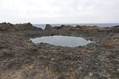 宿根木の火星のような海岸と円形の水たまり