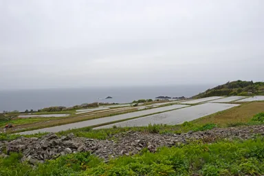 佐渡の水がはった田んぼの段々畑と海