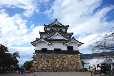 滋賀の彦根城の天守と石垣