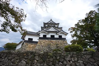 滋賀の裏から見る彦根城と石垣