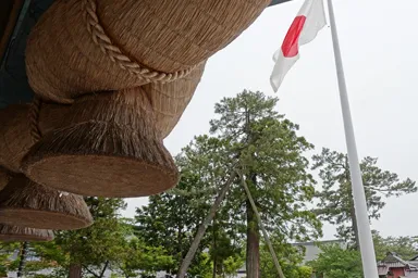 出雲大社の神楽殿の下から見上げる大注連縄