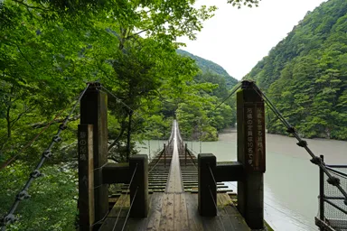 静岡の寸又峡の端から見る吊り橋