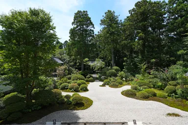 静岡の龍潭寺の枯山水庭園