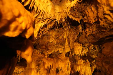 静岡の竜ヶ岩洞の鍾乳洞