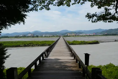 静岡の蓬莱橋のまっすぐな橋と対岸の街並み