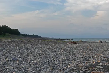 三保の松原と富士山の遠景