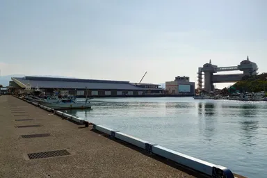 沼津港の市場