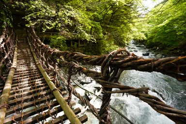 徳島の奥祖谷の二重かずら橋から見る渓谷