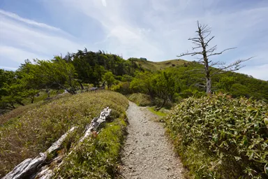 徳島の剣山の見晴らしのいい登山道