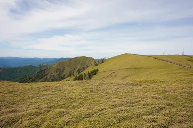 徳島の剣山の一面草になった頂上