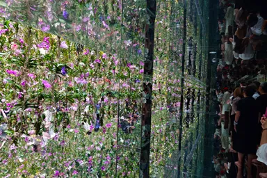 豊洲のチームラボプラネッツのランが鏡に写る部屋