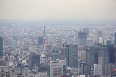 スカイツリーからの東京タワーの景色