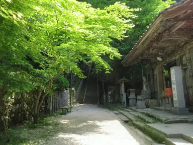 鳥取の三徳山三佛寺の入り口の階段と新緑の木