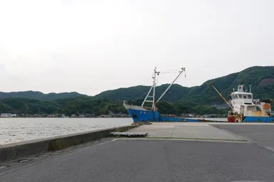 鳥取の境港の船が集まる港