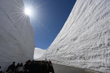 雪の大谷の写真