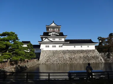 富山城と堀と松
