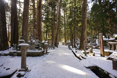 高野山の奥の院の雪の参道に差し込む日差し