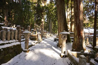 高野山の奥の院の苔むした石塔と杉林と雪の道