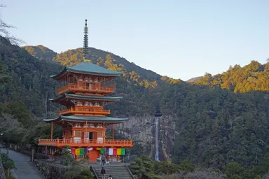 紀伊山地の霊場を包む深い森の風景。