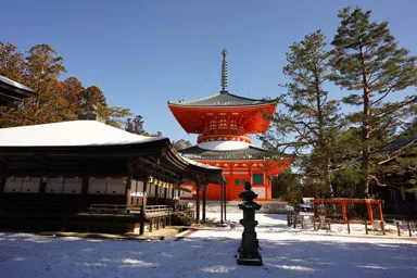 高野山の御影堂と根本大塔