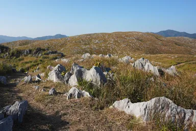 山口の秋吉台のはるか先まで無数に転がる白い石