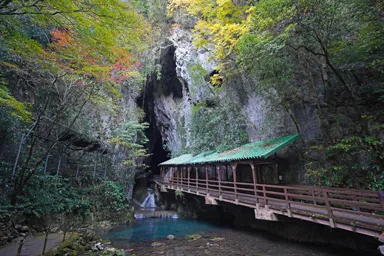 山口の秋芳洞の入口の岩に開いた穴
