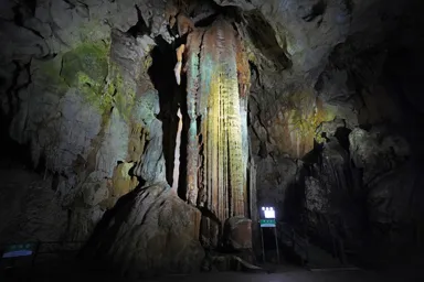 山口の秋芳洞の巨大鍾乳洞の黄金柱