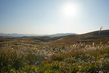 山口の秋吉台の広がるすすきの草原と太陽