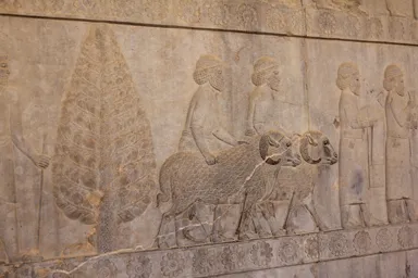 羊を扱う民族が描かれたレリーフのペルセポリス