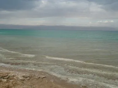 波かと思ったら塩の結晶が波のよう見える死海の波打ち際