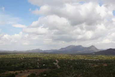 ダンブッラ石窟寺院のまわりのジャングルのダイナミックな光景