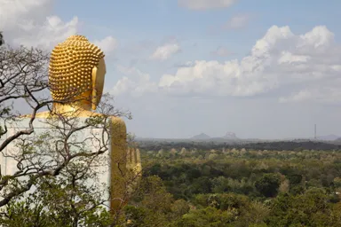 ダンブッラ石窟寺院の金の大仏が眺めるジャングルの大地