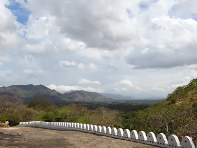ダンブッラ石窟寺院のまわりのジャングルと山の景色