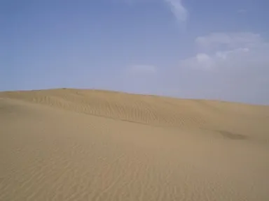 サム砂丘の砂に流れる風紋