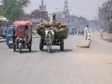 ラホールの街なかで大量の荷物を運ぶ馬車