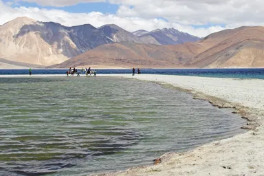パンゴン湖の湖畔で馬の背に揺れる光景