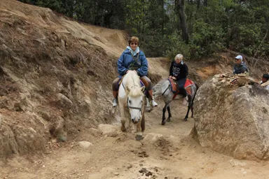 タクツァン僧院への登山道を馬を使って登る西洋人