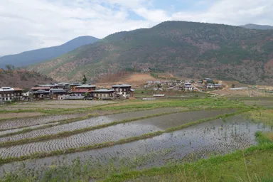 プナカの水を張った田んぼと山の懐かしいよく知っている景色