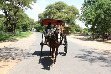 バガンの馬車と操るおじちゃんの様子