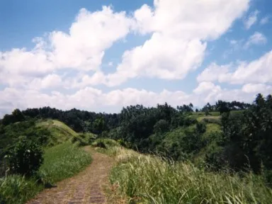ウブドのはずれののどかな一本道